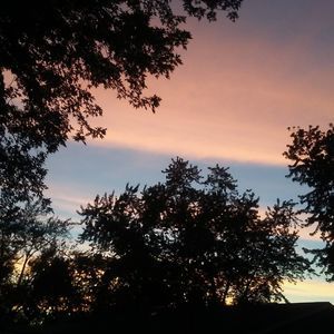 Meet your Posher, Abigail